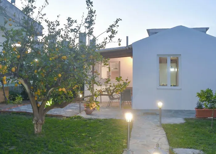 The Olive Garden House *